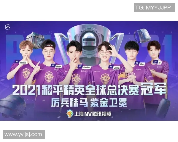 NV公司积极布局PEL市场推动行业创新与发展